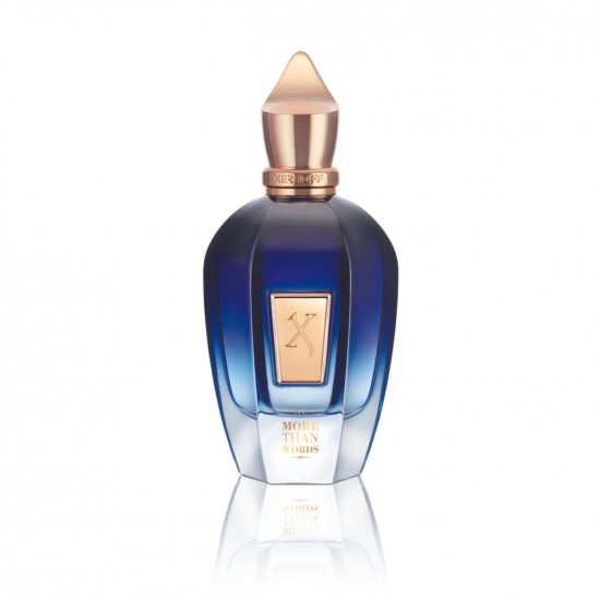 Xerjoff More Than Words 100 ML Unisex