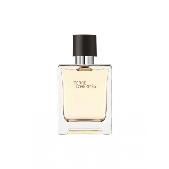 Hermes Terre D'Hermes Edt 100 ML Erkek Parfüm